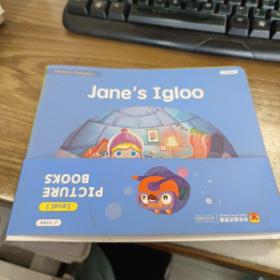 Jane's Igloo