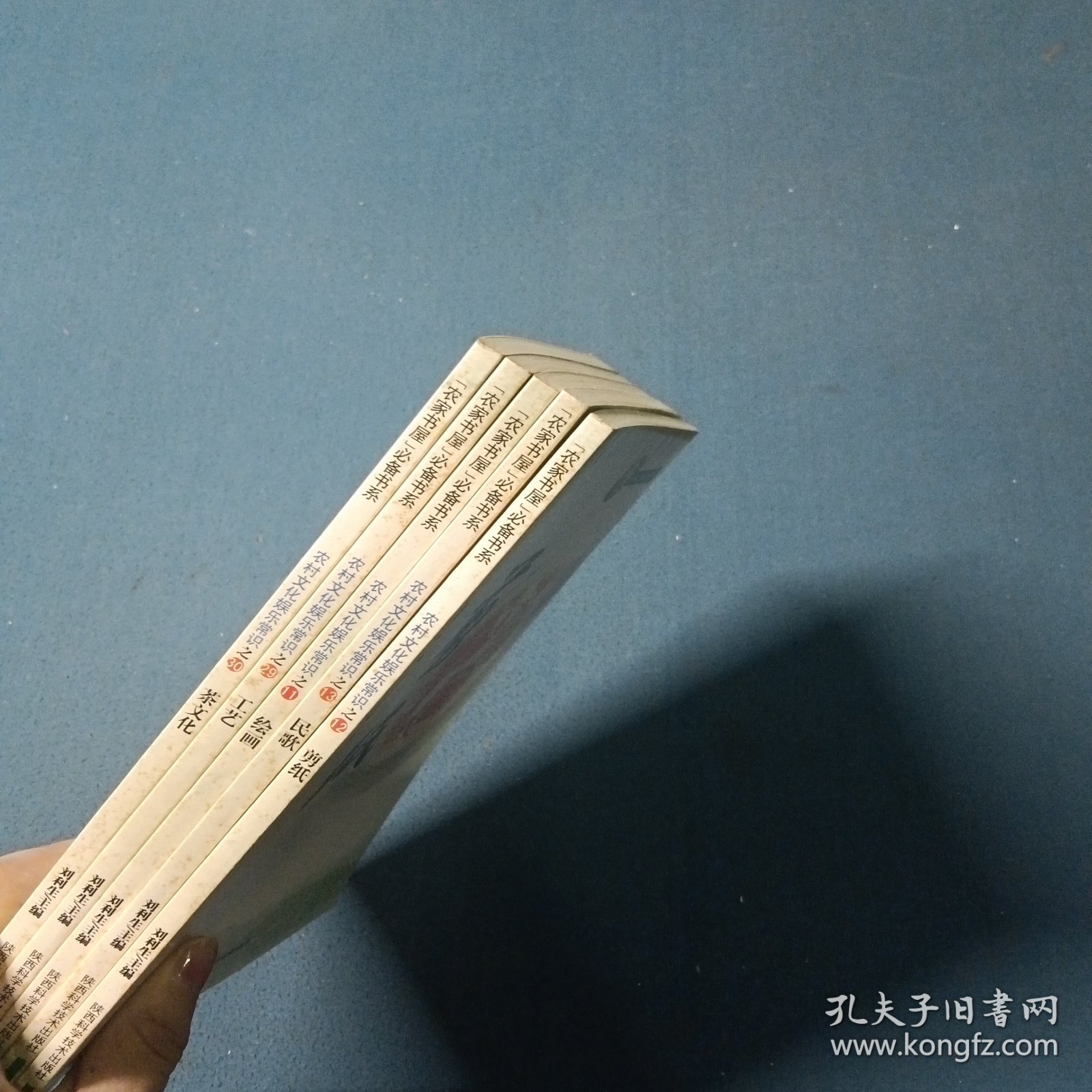 农村文化娱乐常识（5本合售）