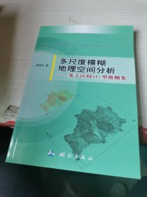 多尺度模糊地理空间分析：基于区间2-型模糊集