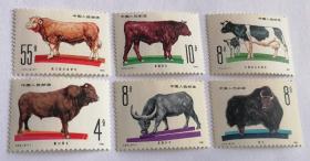 T63 畜牧业牛全新邮票6枚全
