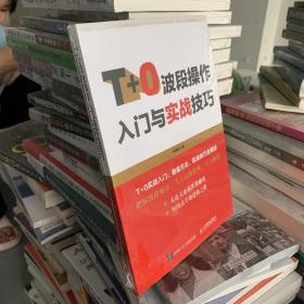 T+0波段操作入门与实战技巧