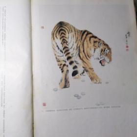 工笔狮虎豹画法     2003年一版一印