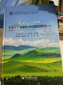 内蒙古自治区矿产资潜力评价成果系列丛书