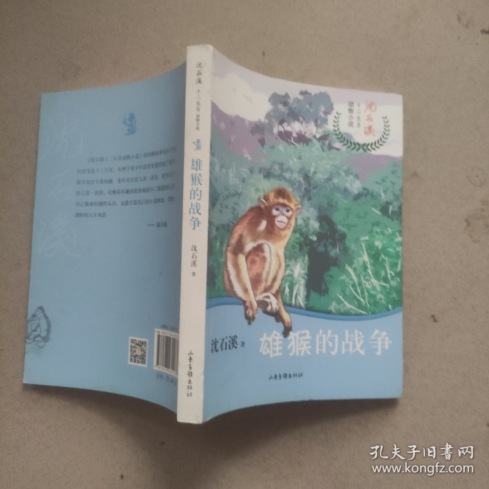 雄猴的战争/沈石溪十二生肖动物小说