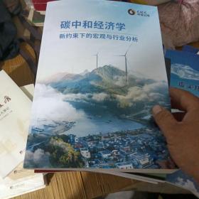 碳中和经济学【309号】