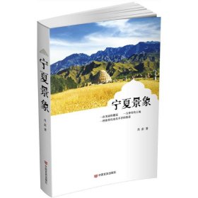 宁夏景象 肖彭 著 正版图书