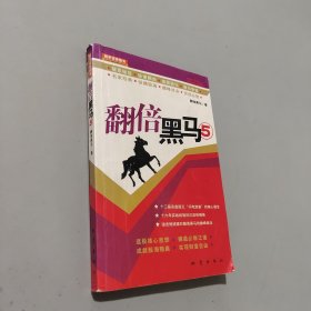 翻倍黑马5