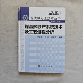 现代煤化工技术丛书：煤基多联产系统技术及工艺过程分析