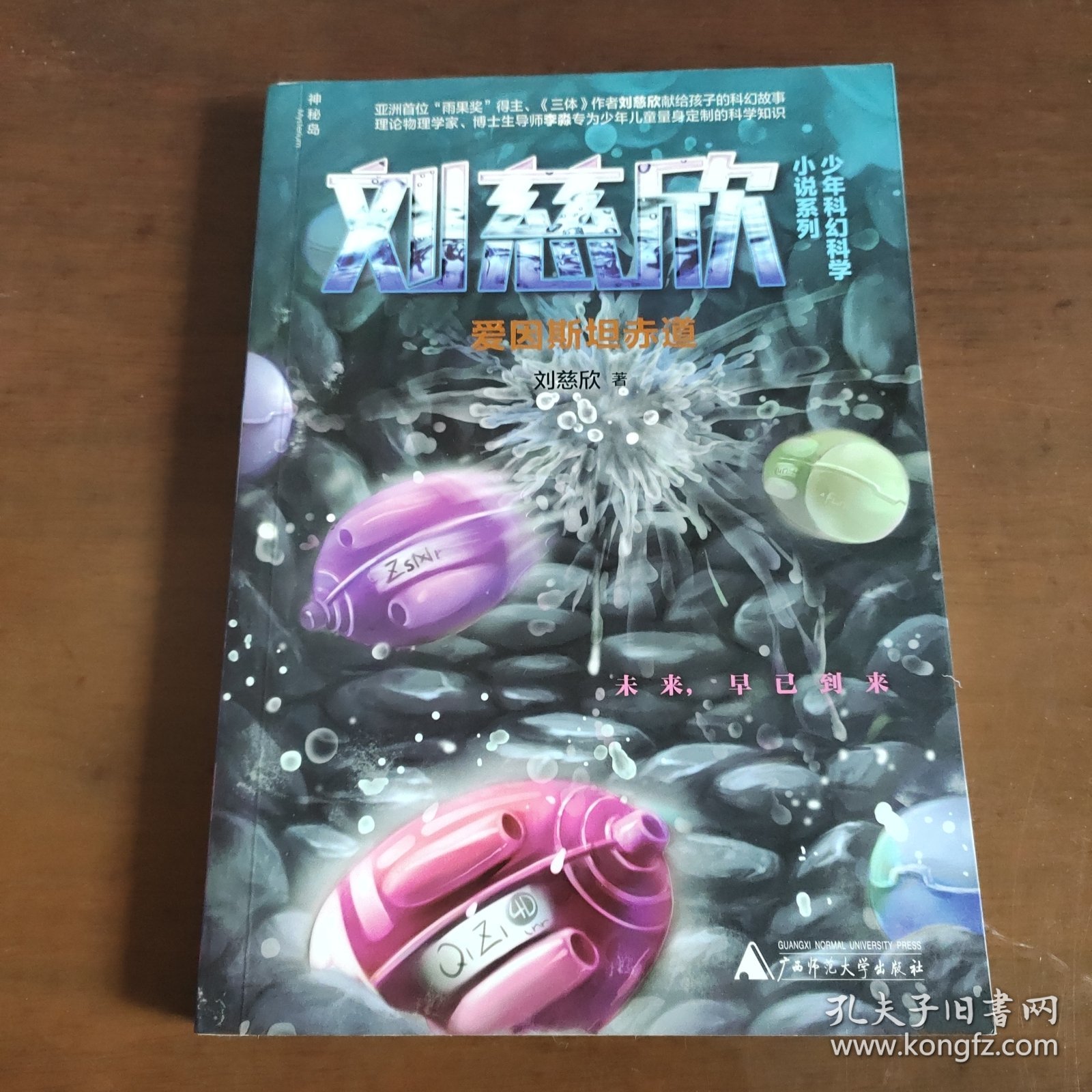 爱因斯坦赤道