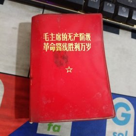 毛主席的无产阶级革命路线胜利万岁