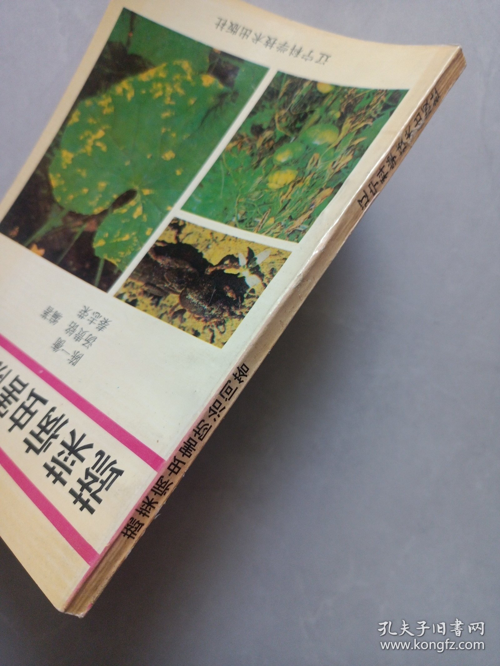 蔬菜病虫害防治问答 辽宁科学技术出版社 私藏品好自然旧品如图
