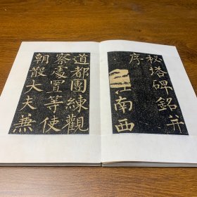 旧碑帖旧拓本《法师玄秘塔碑》精品石碑拓本两册全，49 折，98页