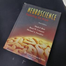 Neuroscience: Exploring the Brain神经科学 英文原版
