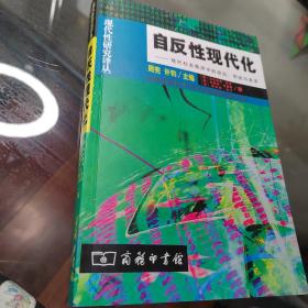 自反性现代化：现代社会秩序中的政治、传统与美学