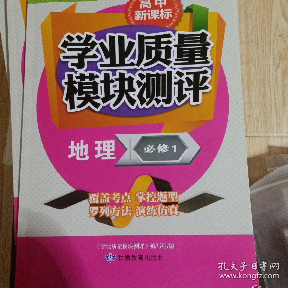 高中新课标学业质量模块测评. 地理. 1 : 必修