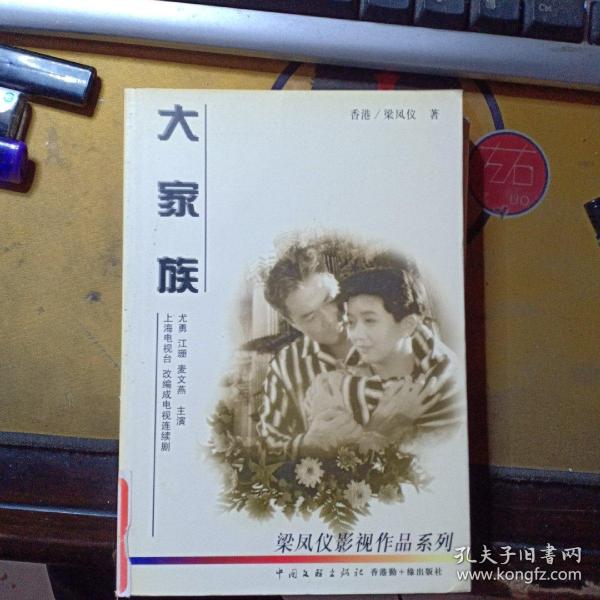 梁凤仪影视作品系列:大家族