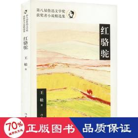 红骆驼 中国现当代文学 王松