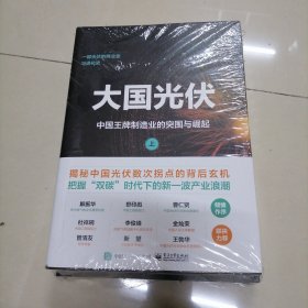 大国光伏：中国王牌制造业的突围与崛起