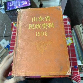 山东省民政资料1995