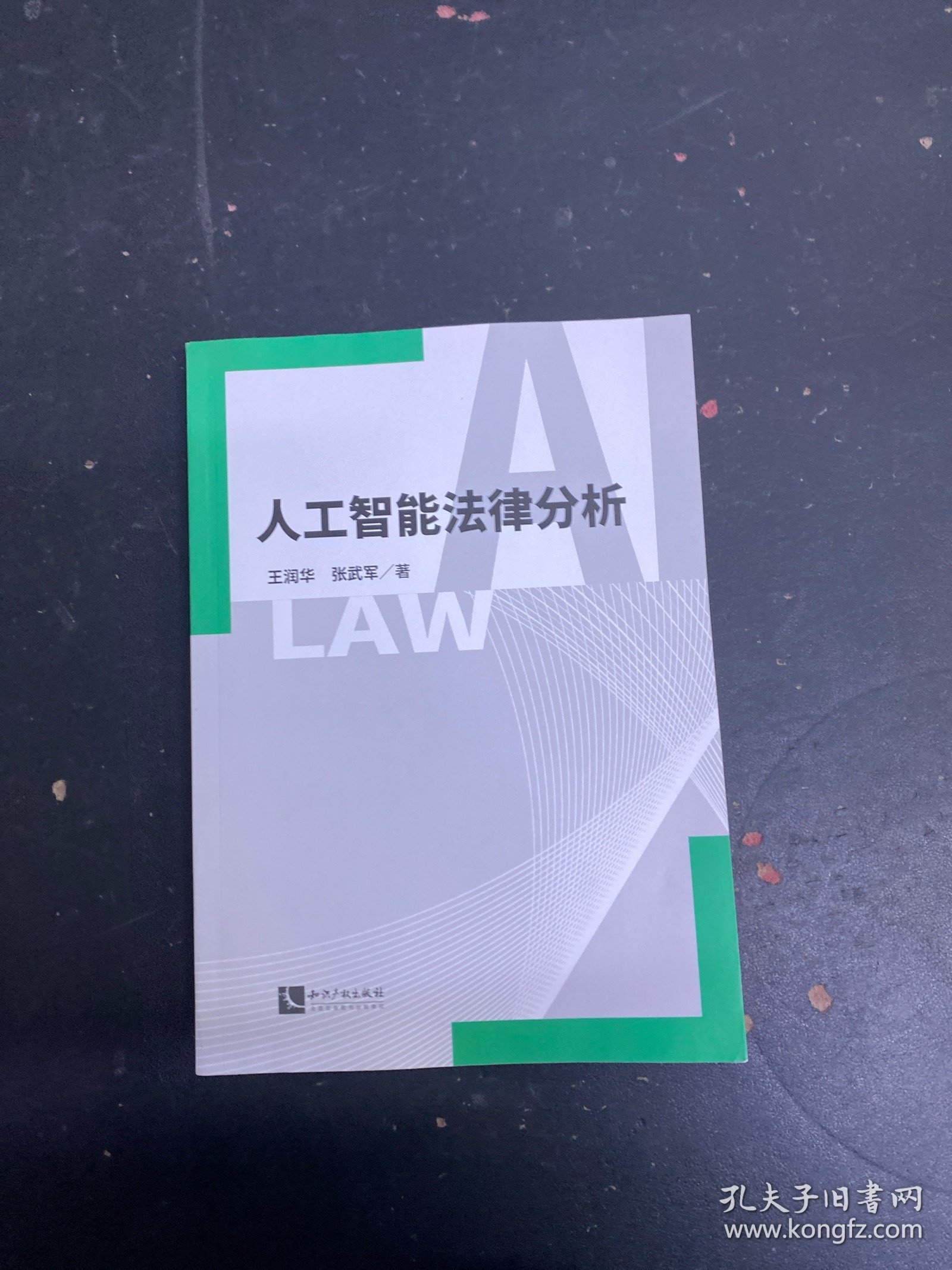 人工智能法律分析