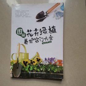 图解花卉绿植养护窍门大全