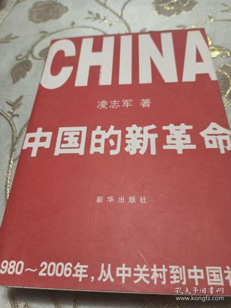 中国的新革命：1980-2006年，从中关村到中国社会