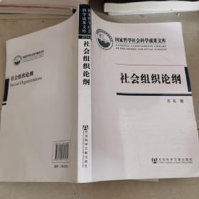 国家哲学社会科学成果文库：社会组织论纲