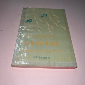 盘龙城市歌谣卷 盘龙区民间文学集成