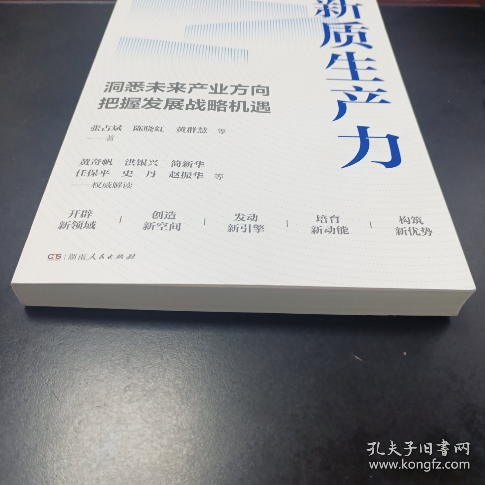 新质生产力（黄奇帆、洪银兴等高层智囊重磅发声，2024年读懂中国经济全新读本！这本书，带你跟上中国下一步！）