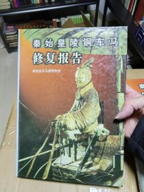 秦始皇陵铜车马修复报告