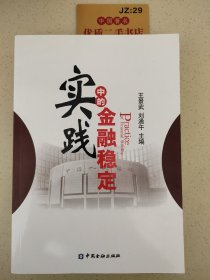 实践中的金融稳定