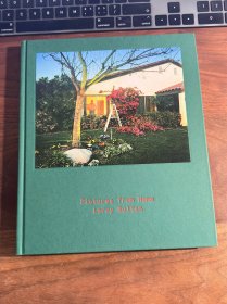Larry Sultan Pictures From Home 摄影画册