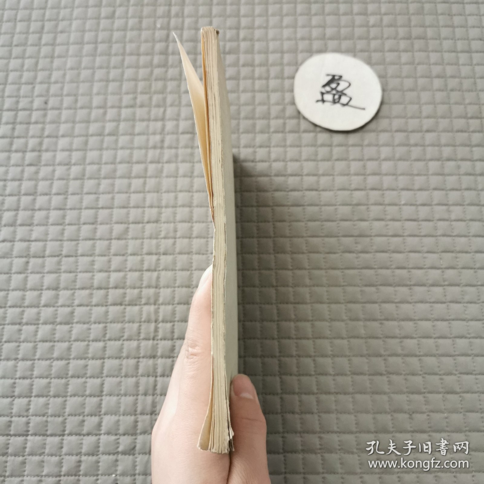 列宁共产主义运动中的“左派”幼稚病