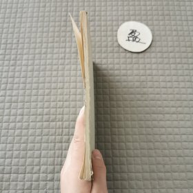 列宁共产主义运动中的“左派”幼稚病