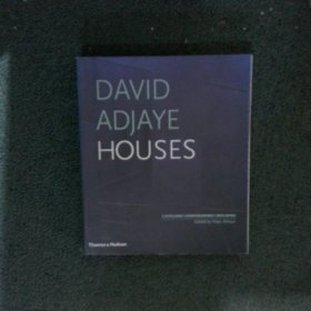 DAVID ADJAYE HOUSES大卫的房子