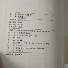 东四王村志.