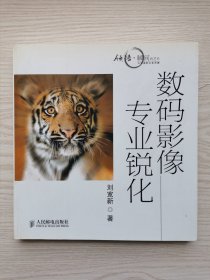 数码影像专业锐化（附光盘）