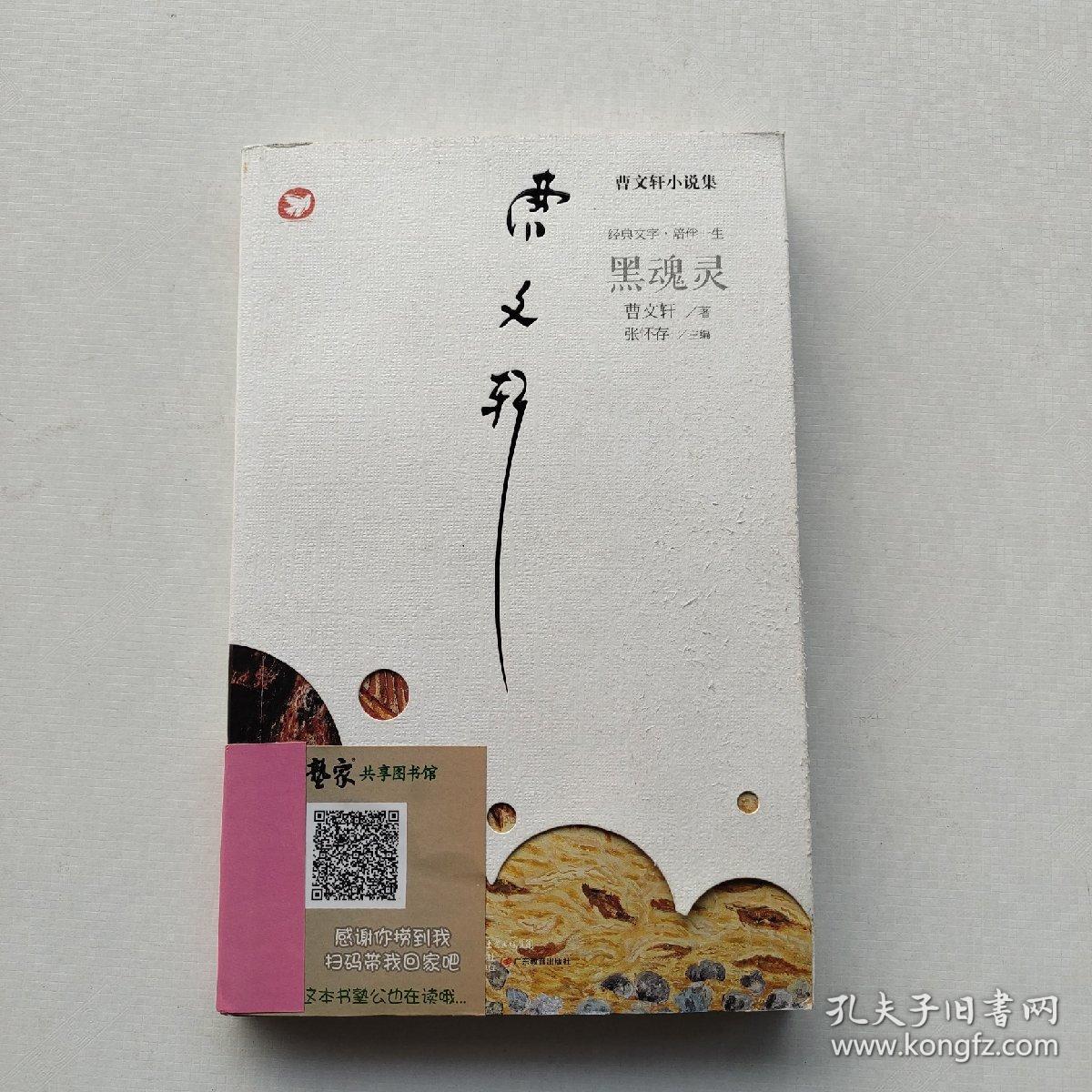 现货《黑魂灵》