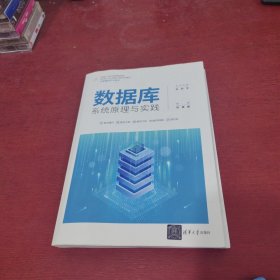 数据库系统原理与实践【内页干净 实物拍摄】