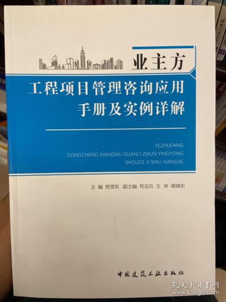 业主方工程项目管理咨询应用手册及实例详解