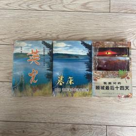 顾城相关三种合售  英儿：顾城遗作  墓床：顾城 谢烨海外代表作品集  我面对的顾城最后十四天