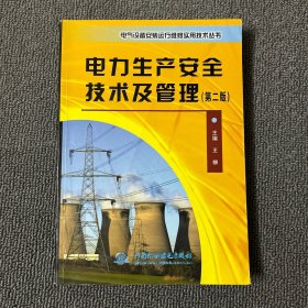 电气设备安装运行维修实用技术丛书：电力生产安全技术及管理（第二版）