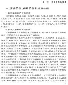 软枣猕猴桃丰产及病虫害防治 普通图书/工程技术 田晓 中国农业大学 9787565526633