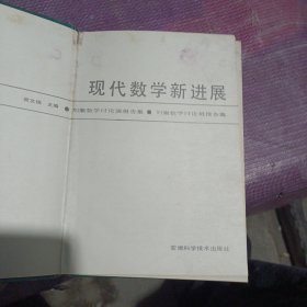 现代数学新进展,刘徽数学讨论班报告集