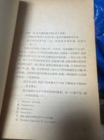 五卷书（网格）馆藏（书衣右上角缺一小块书角，整体保存较好，自然放旧发黄）