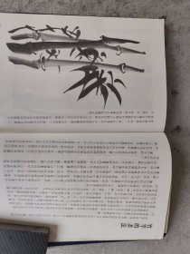 水墨画法 墨竹