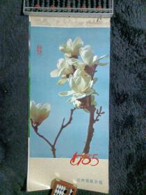 （挂历1985-10）花卉画，每页带简笔插画