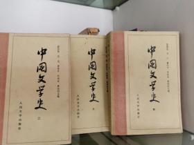 中国文学史(4)
