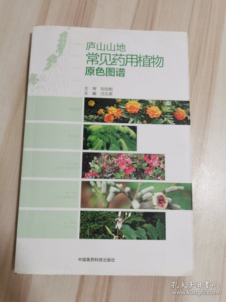 庐山山地常见药用植物原色图谱