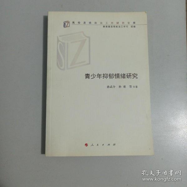 青少年抑郁情绪研究/高校思想政治工作研究文库